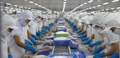 8月巴沙魚進口量暴跌60%！近半數(shù)越南巴沙魚工廠停產(chǎn)！