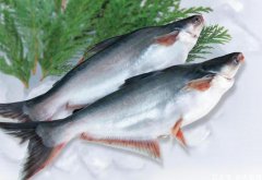 中國進口越南巴沙魚蝦等水產(chǎn)品波動明顯,未來走勢難以預測！